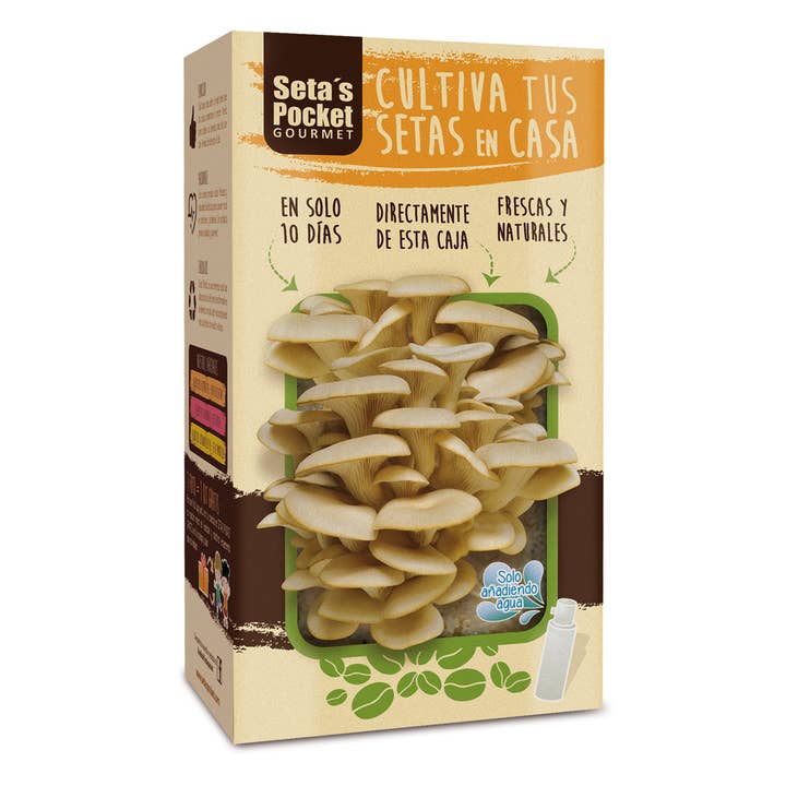 Garden Pocket - Venta al por mayor Kit de cocina - UD - SETAS POCKET GOURMET