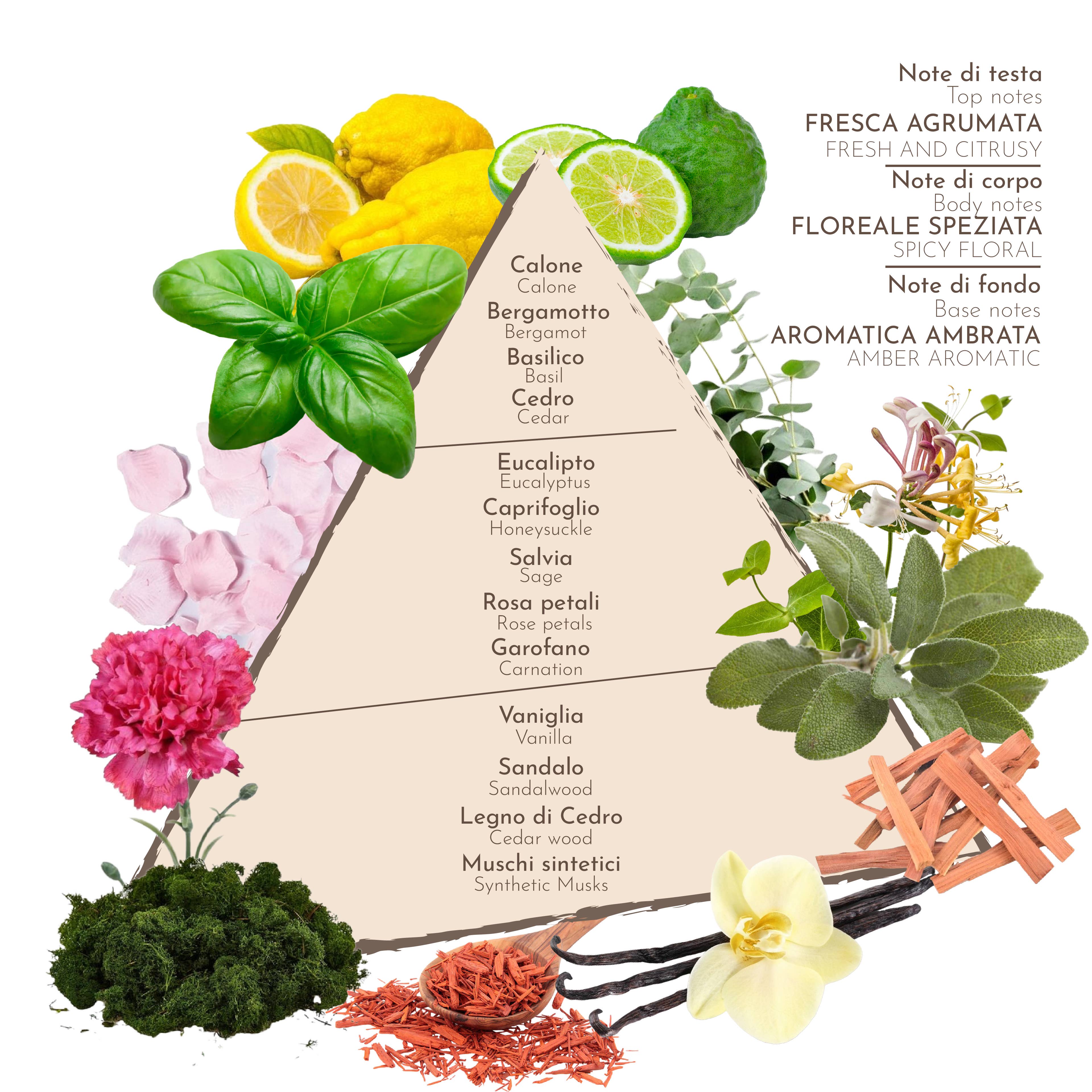 ZUMA – Perfume/Eau de Toilette por atacado – SICILY WATER Eau de Parfum3