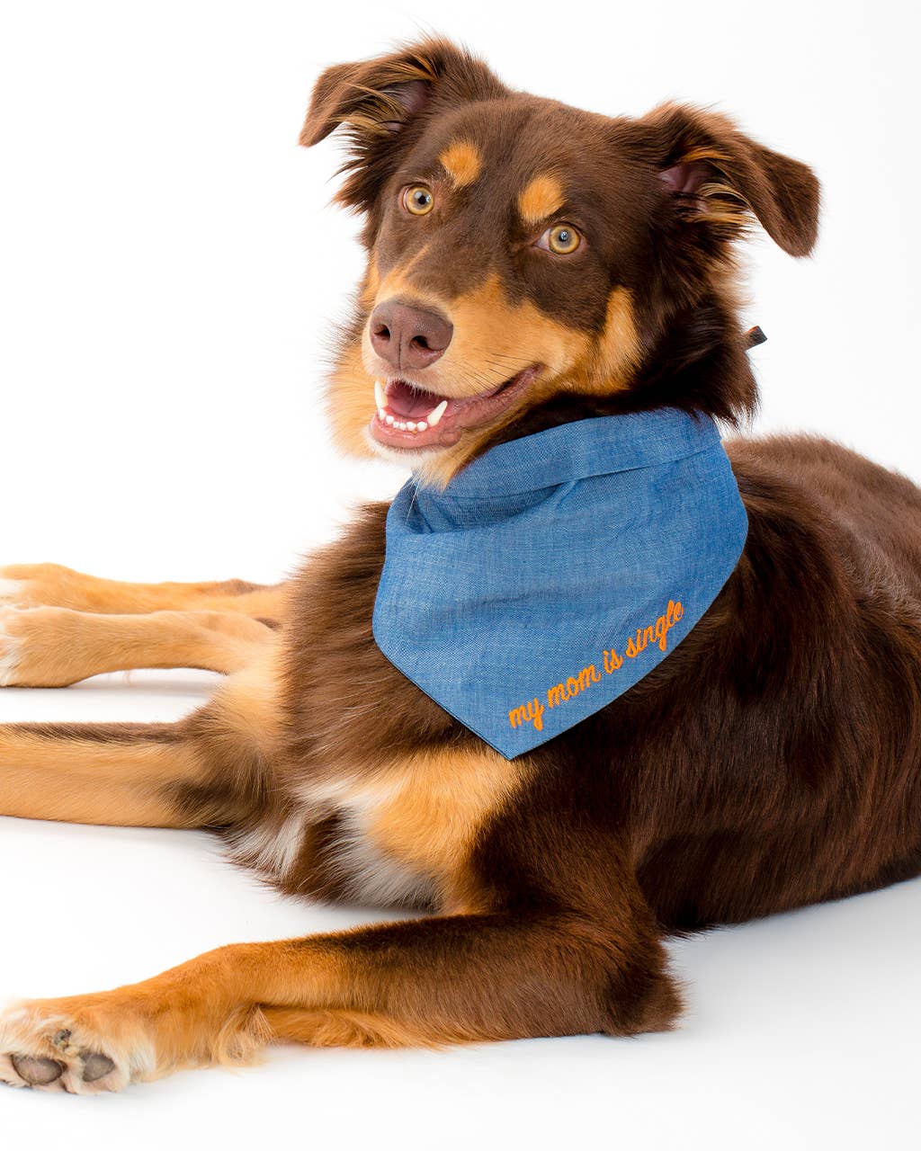 MODERNBEAST - Wholesale Pet Bandana - Dog - EMBROIDERED BANDANA Cotton Pet Apparel5