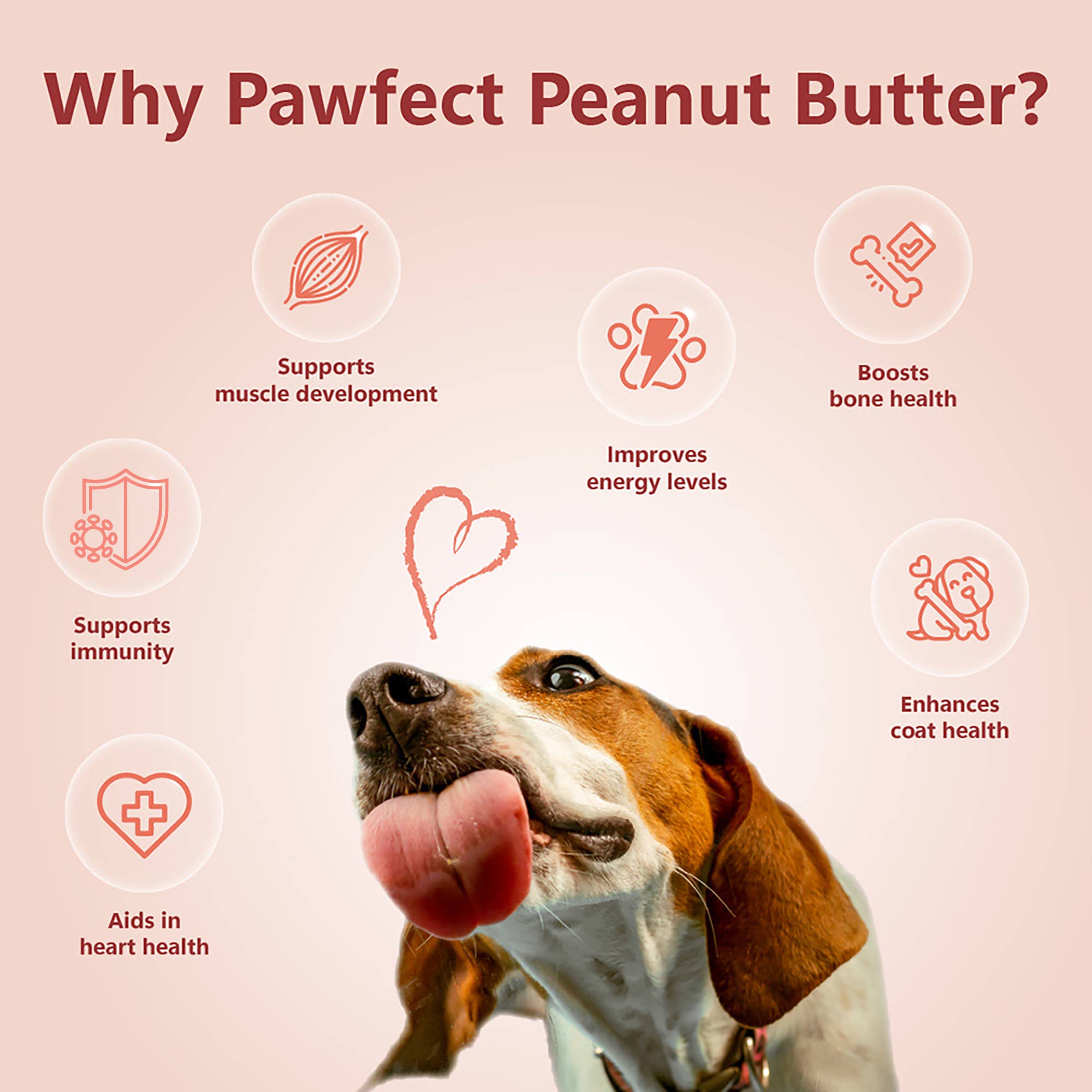 Pawfect Foods - Vendita all'ingrosso Snack - Cani - Burro di Arachidi Pawfect per Cani e Cuccioli | 100% Naturale | Senza Zucchero, Sale o Olio di Palma | Senza Dolcificanti, Senza Xilitolo | Consistenza Adatta ai Cani | Snack Sano4