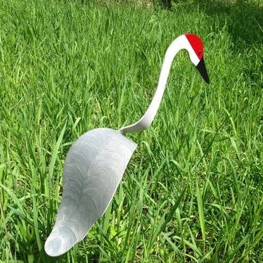Sandhill Crane for wholesale by Florida Dancing Birds