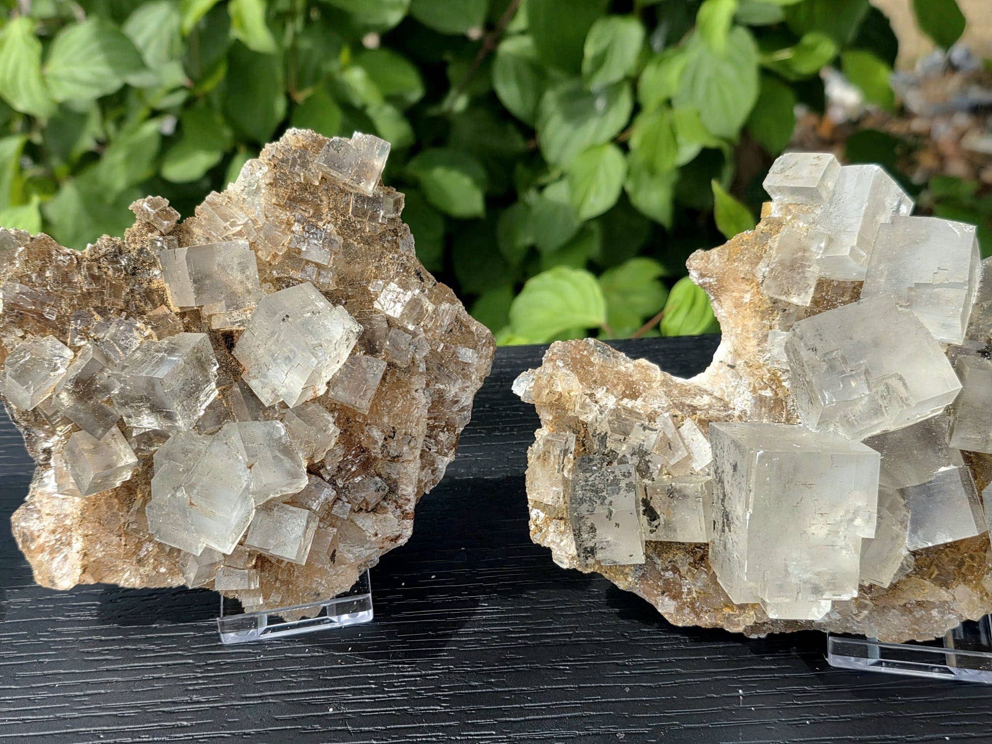 Distinction Crystals – wholesale Spiritual stone/crystal – Large Halite Salt Crystal Clusters 600-800g3