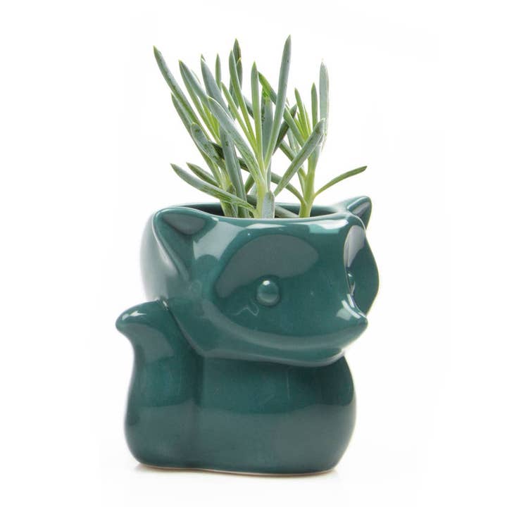Chive UK - Wholesale Plant Pot - Fox - 3.5" Glazed Modern Ceramic Planter4