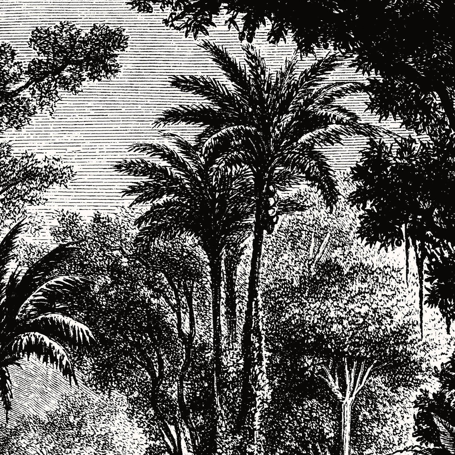 Aster Edition - Wholesale Canvas Art - Canvas: The Jungle4