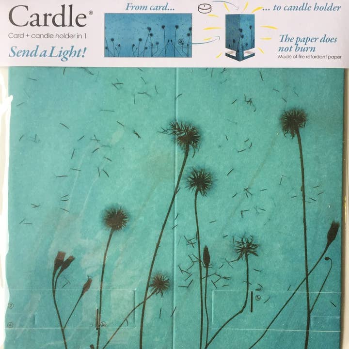 Cardle lysestage Lykønskningskort - Noon for engroshandel hos Mayves