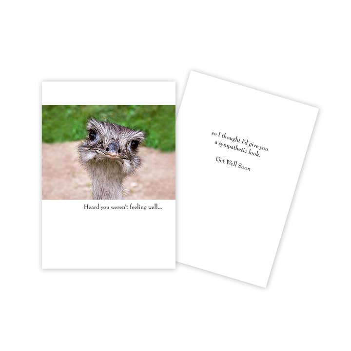 Funny Ostrich Get Well Card for wholesale by Sun Day Greetings