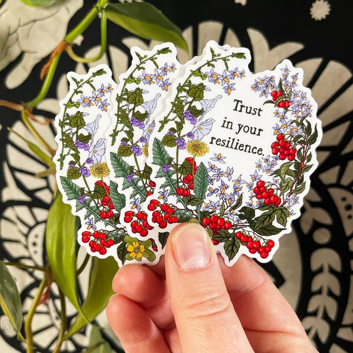 Fabulously Feminist - Wholesale Sticker - Feminist Sticker: Trust In Your Resilience8