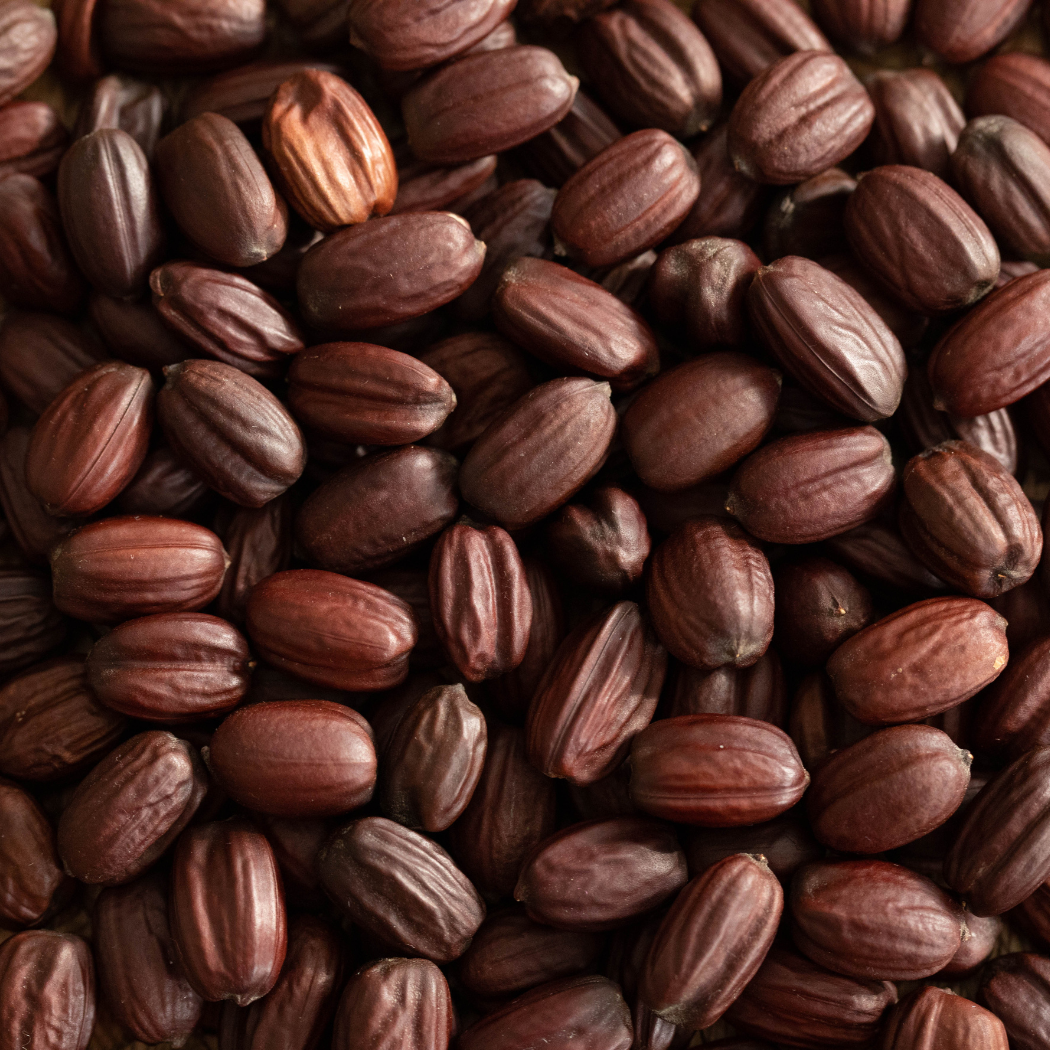 HobaCare Jojoba - Vente Crème hydratante pour le visage - Crème hydratante pour le visage et le corps au jojoba HobaCare, 32 oz, certifiée biologique1