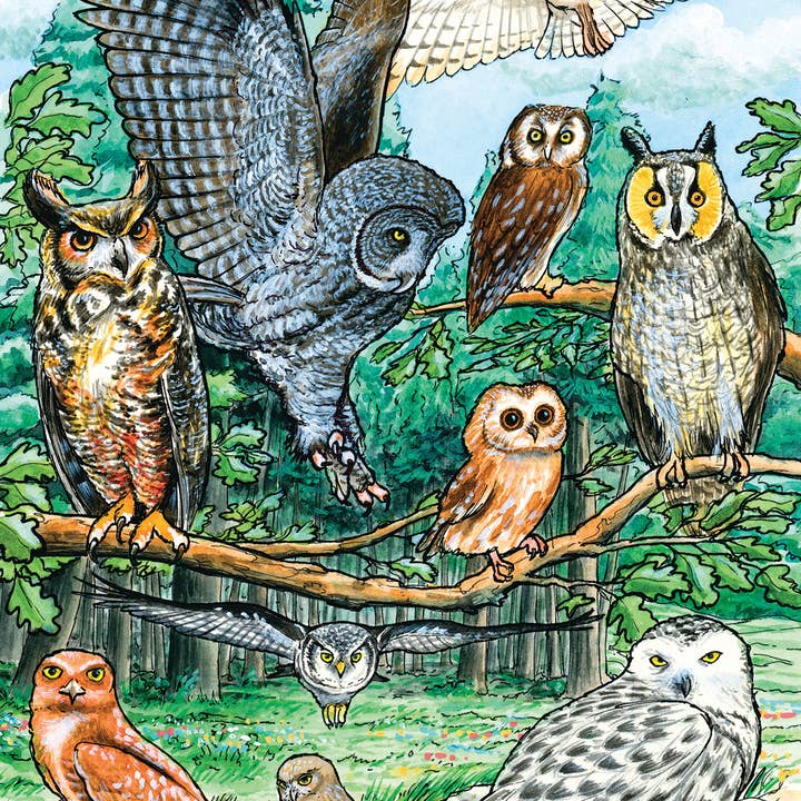 North American Owls (tray) 35pc puzzle for wholesale by Outset Games and Cobble Hill Puzzles