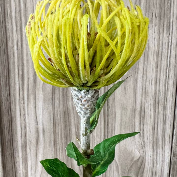 Angel Isabella - Wholesale Artificial Flowers - 29"Large Artificial Saffron Pincushion Needle Protea9