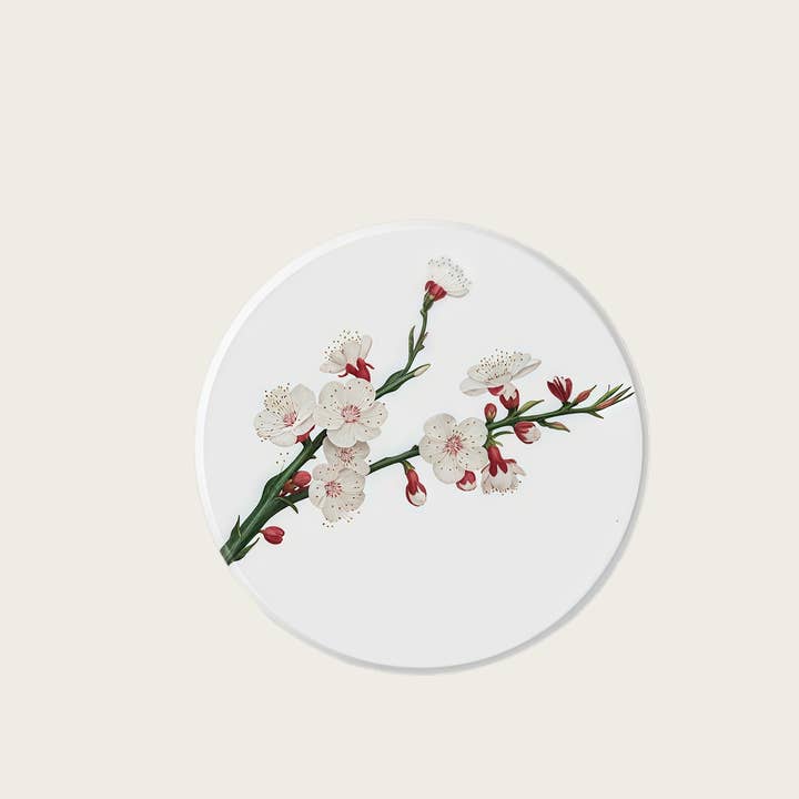 Otterware - Wholesale Coasters - Absorbent Diatomite Coasters - Vintage Botanical Designs1