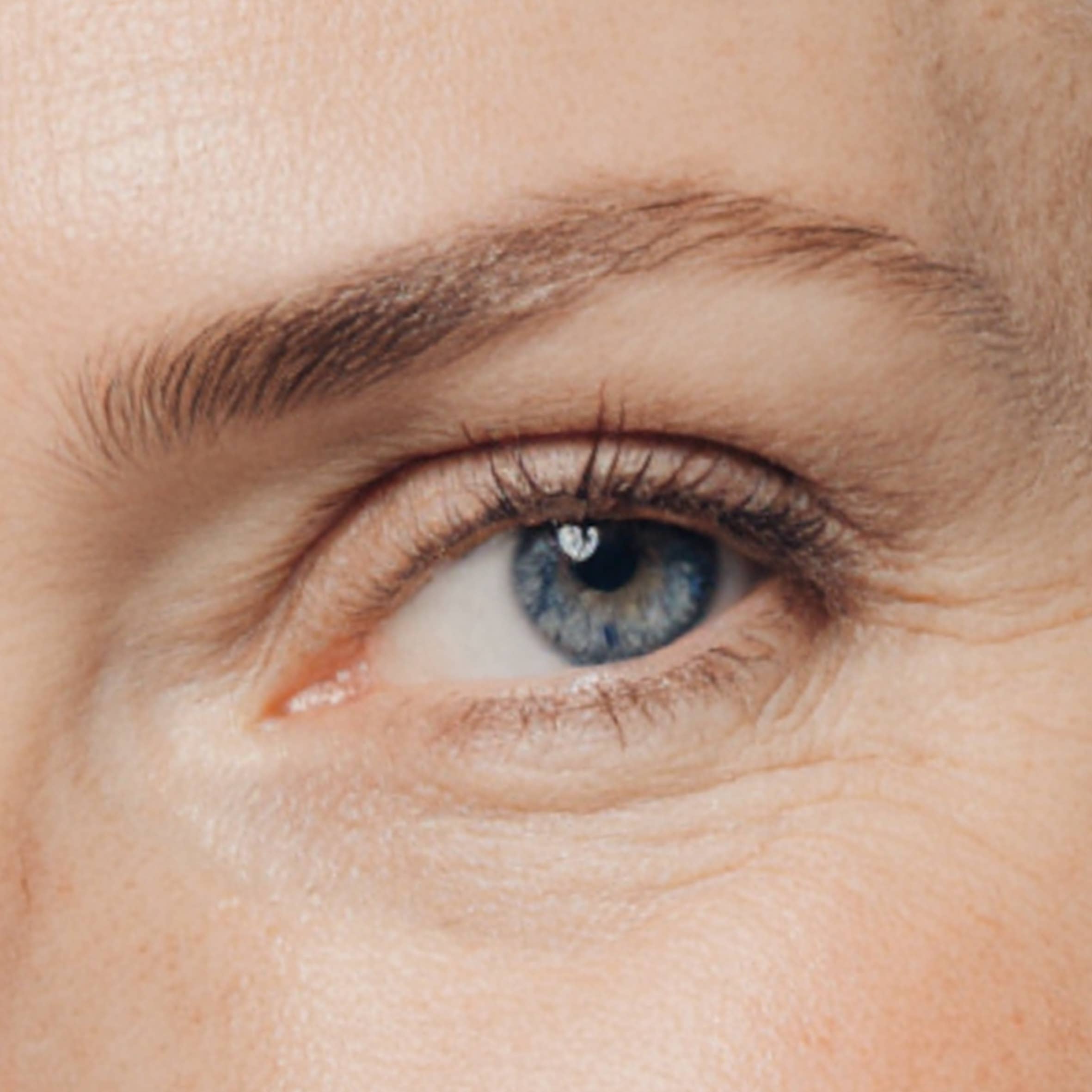 LE SOURCIL par Angélik Iffennecker - Wholesale Eyebrow Pencil/Filler - EYEBROW PENCIL X - WATERPROOF ASH BLONDE5