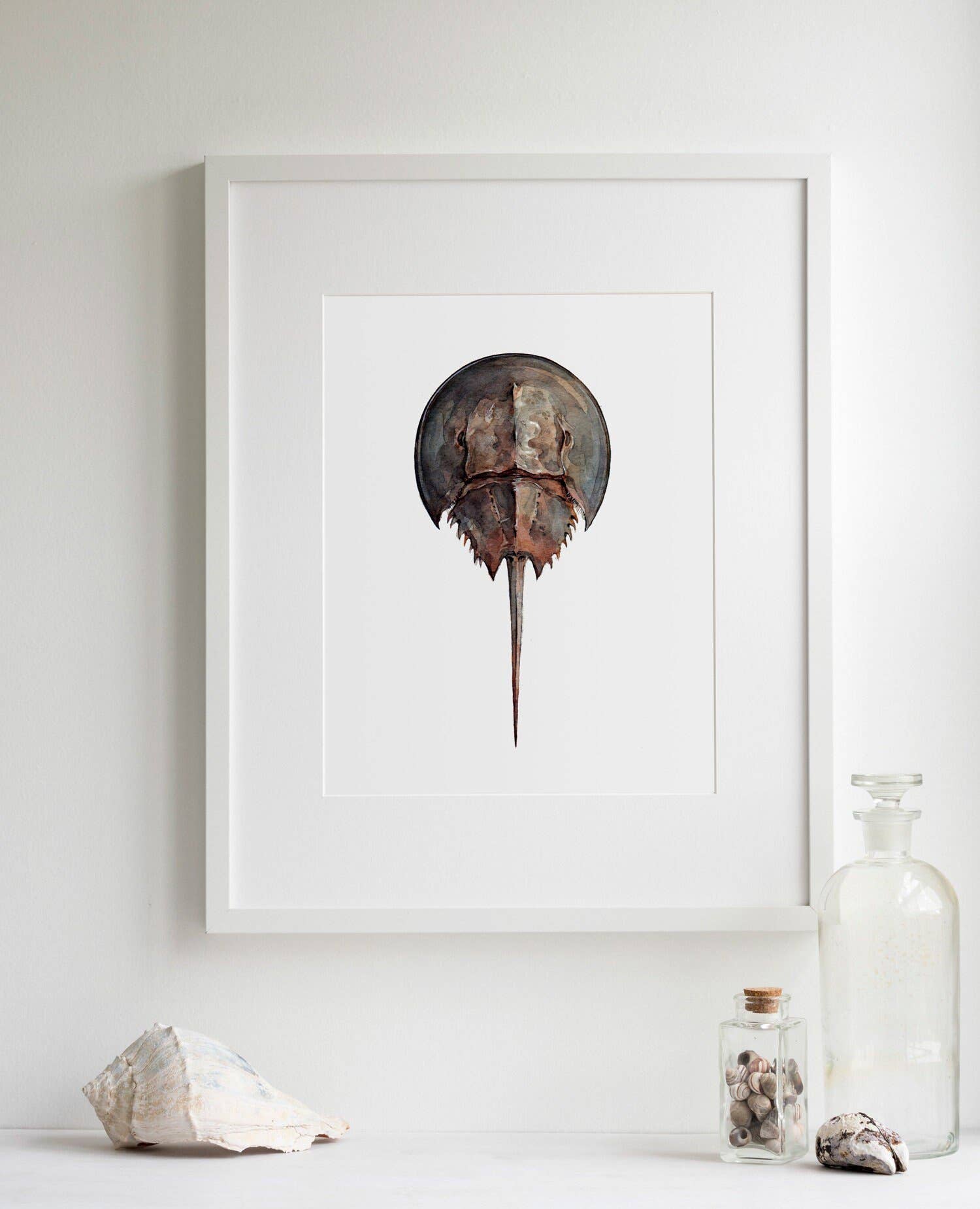 Studio Tuesday - Wholesale Art Print - Horseshoe Crab Watercolor Painting, Seashore Beach Print3