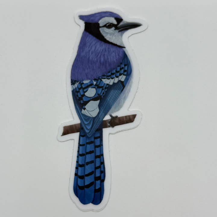 Blue Jay Sticker for wholesale by MI Woodland Art Studio