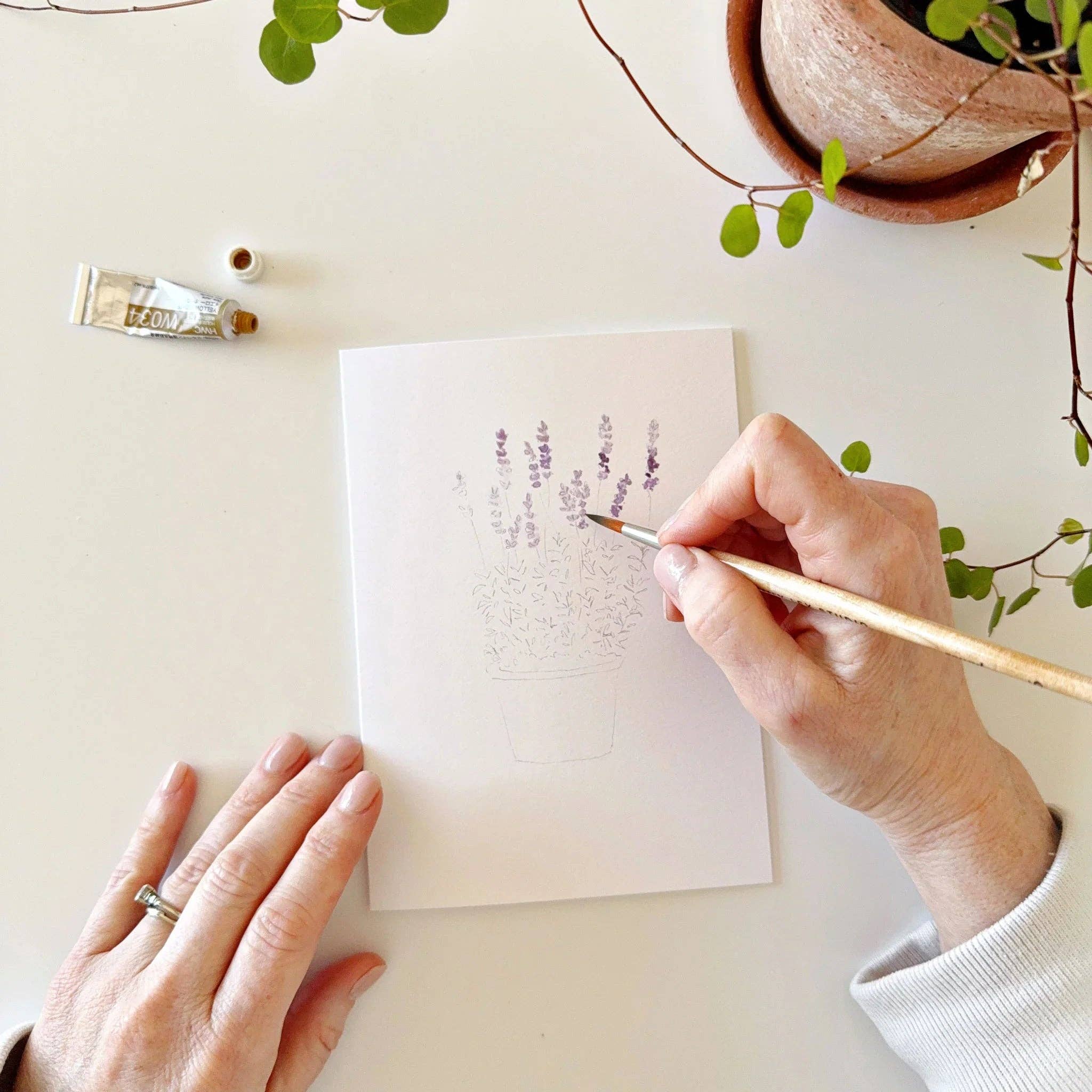 emily lex studio - Vente Assortiments de papeterie/cartes - ensemble de cartes aquarelle à peindre avec des plantes en pot8