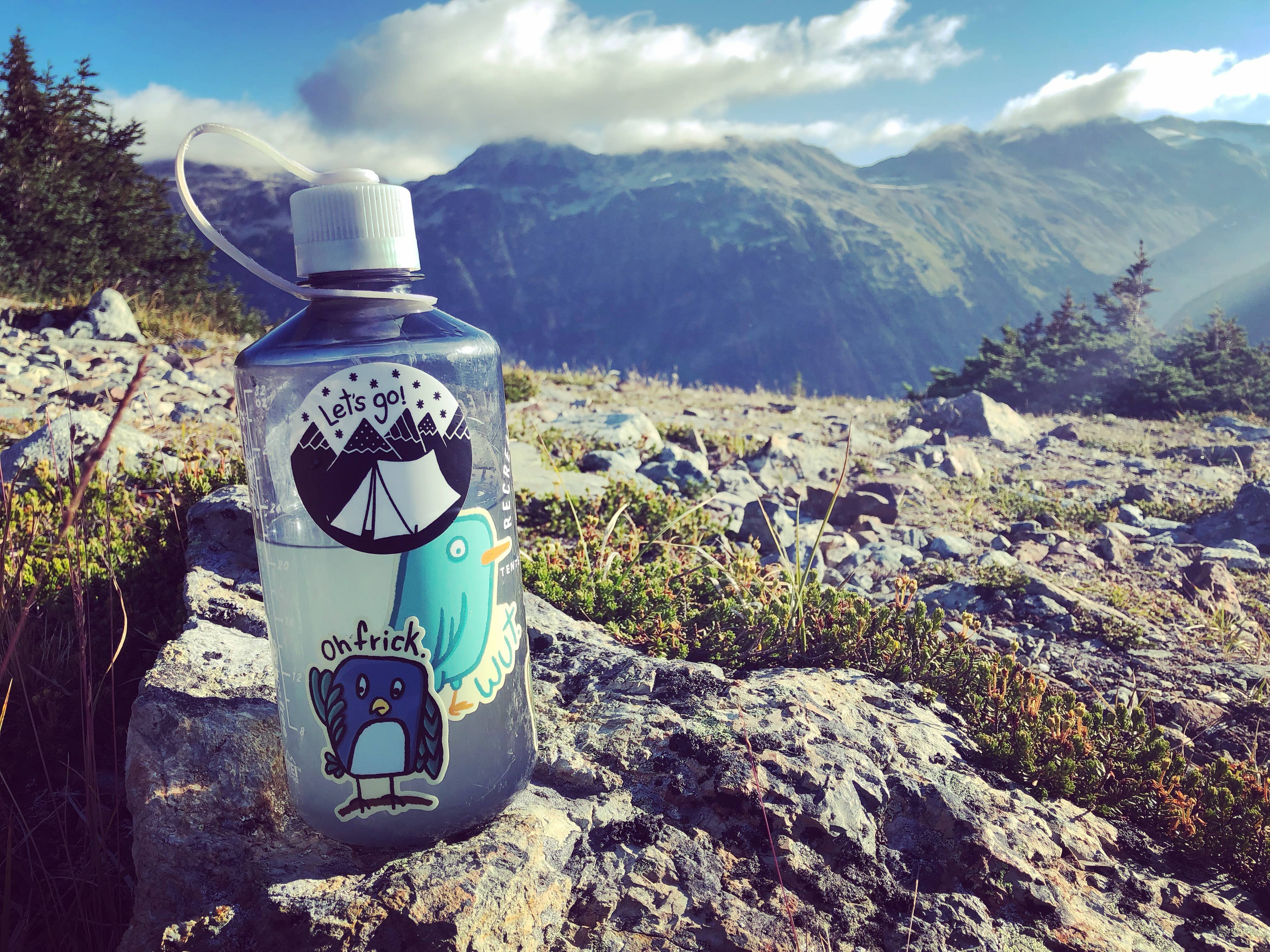 Little Hiker Bird - Wholesale Sticker - Wut Bird Vinyl Sticker5