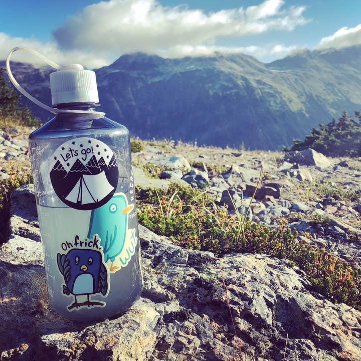 Little Hiker Bird - Wholesale Sticker - Wut Bird Vinyl Sticker5