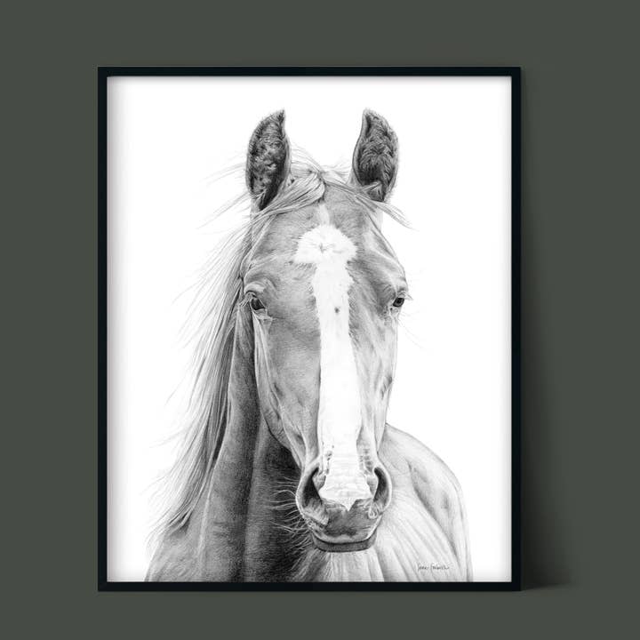 "Vasco" a Horizontal Horse Pencil Drawing Print for wholesale by Sara Forbush Art