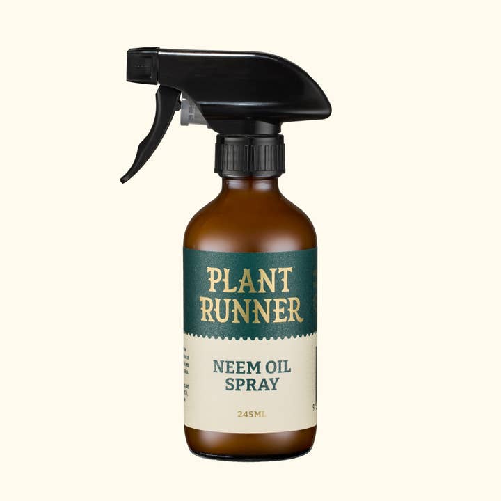 The Plant Runner - Wholesale Fertilizer - Neem Oil Leaf Shine
