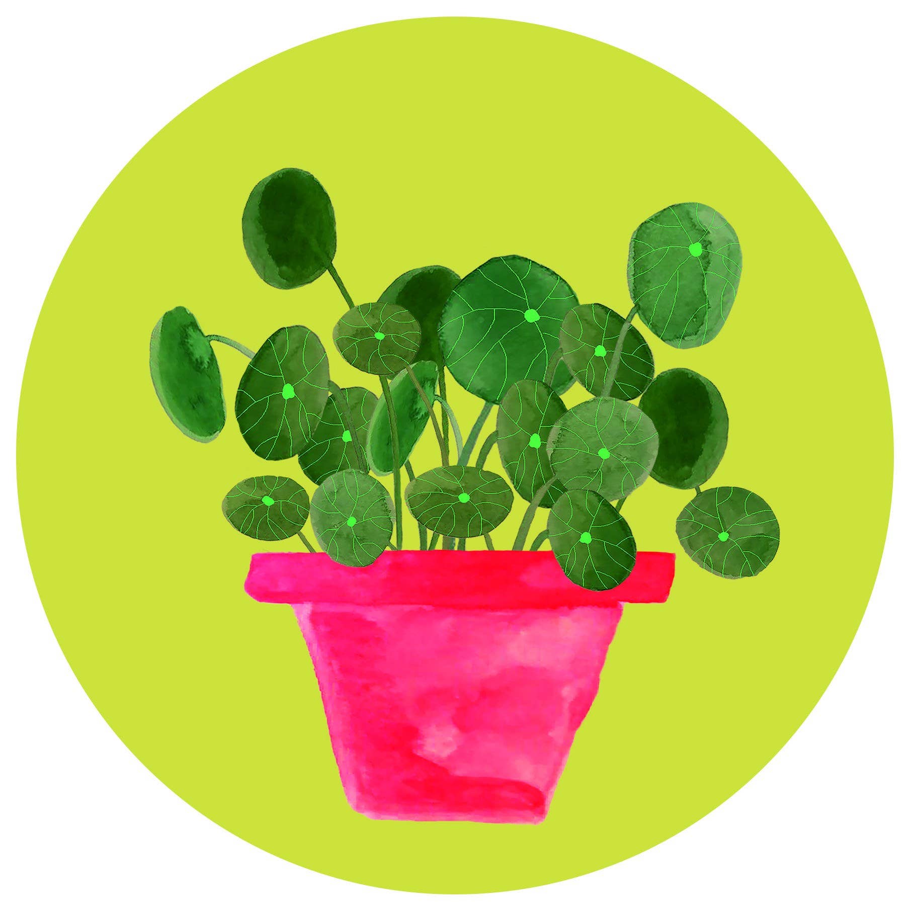 Kaartenpret - Venta al por mayor Papel pintado 3D - Círculo de pared para panqueques0