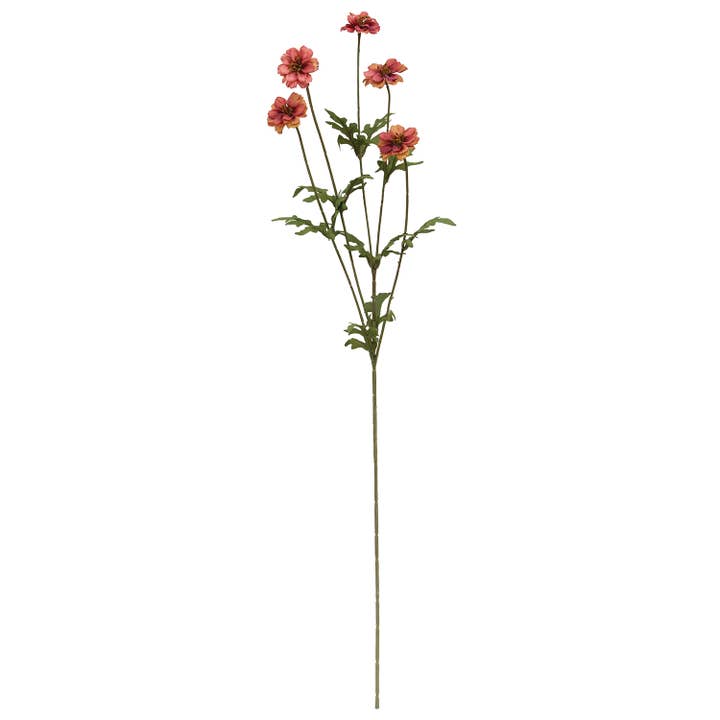 Malvenfarbenes Ringelblumenspray, 29,75" für den Großhandel von Saybrook Lane