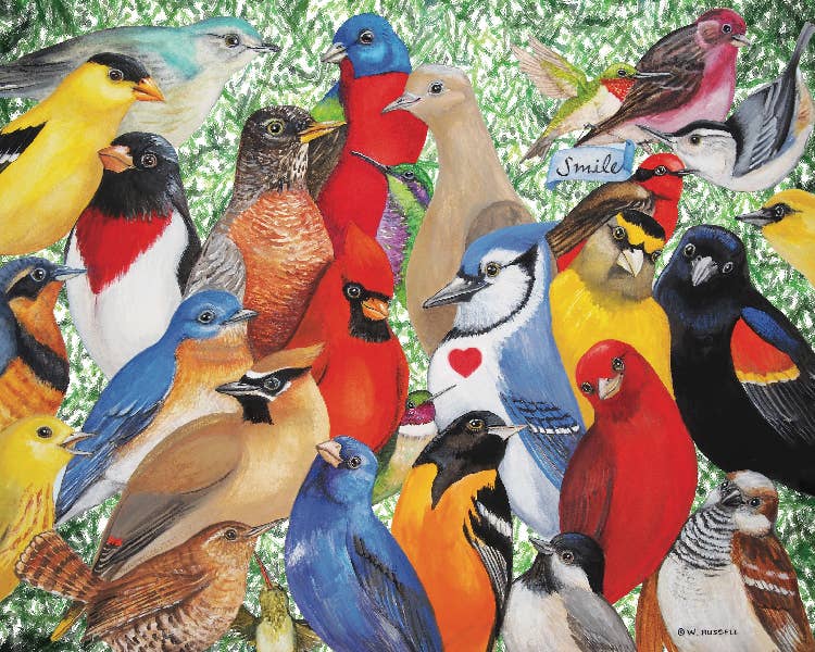 Hart Puzzles - Wholesale Puzzle - Adult - Birds, Birds, Birds by Wendy Russel1