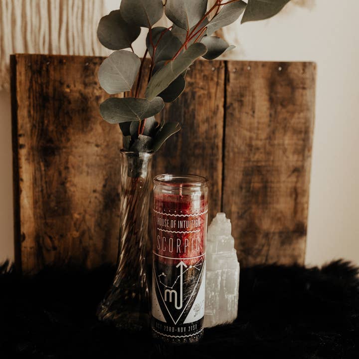 House Of Intuition - Wholesale Novelty Candle - HOI Scorpio Zodiac Candle4