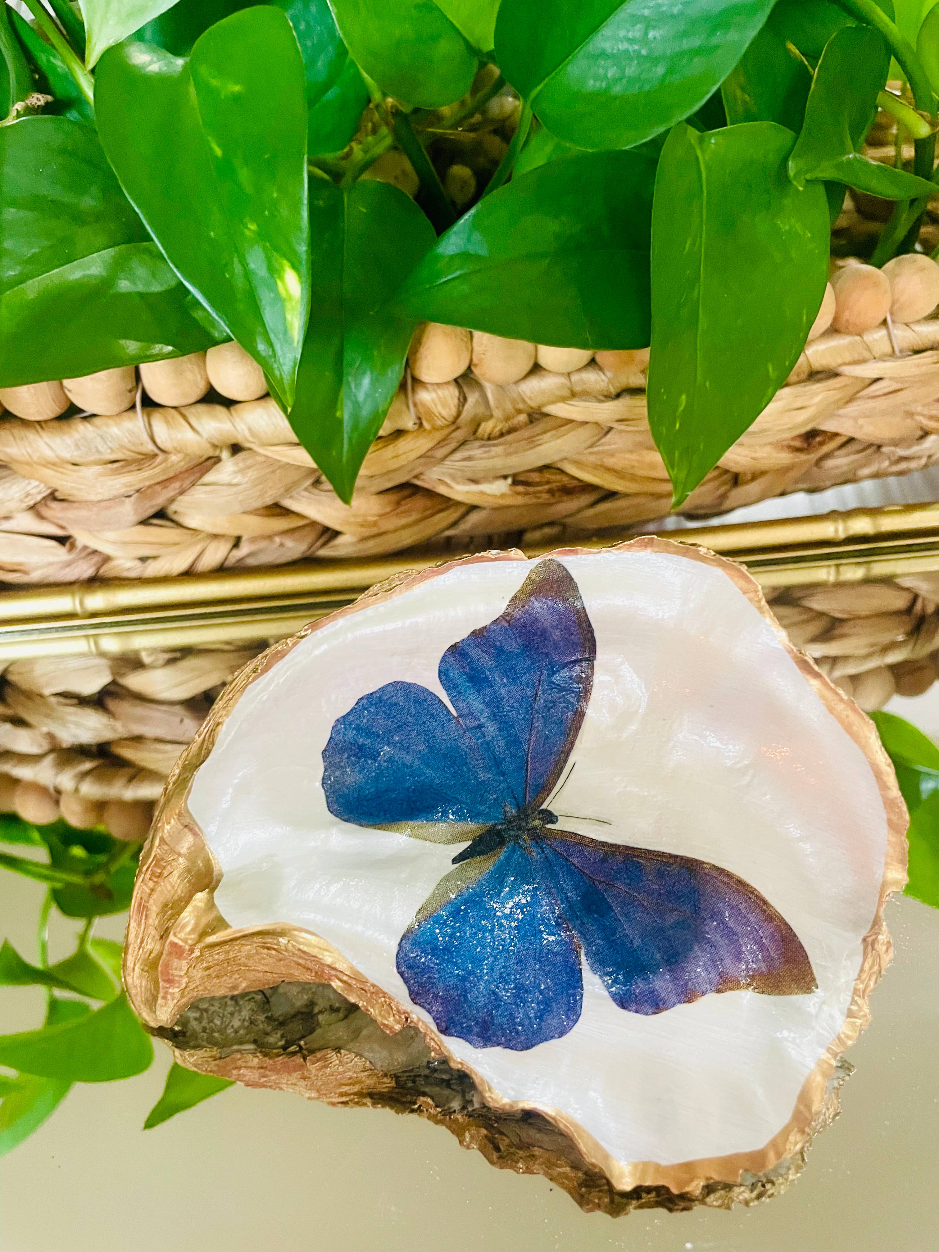 Shells by Shea - Wholesale Jewelry Dish - Oyster Shell Trinket Dish, Butterfly Trinket Dish