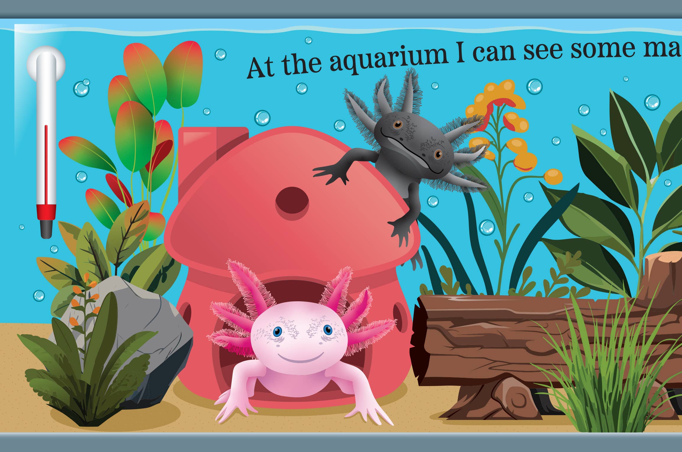 Bonnie Lee Books - Wholesale Baby & Toddler Book (0-2) - SMILE, SMILE AXOLOTL [BABY BOOK]1