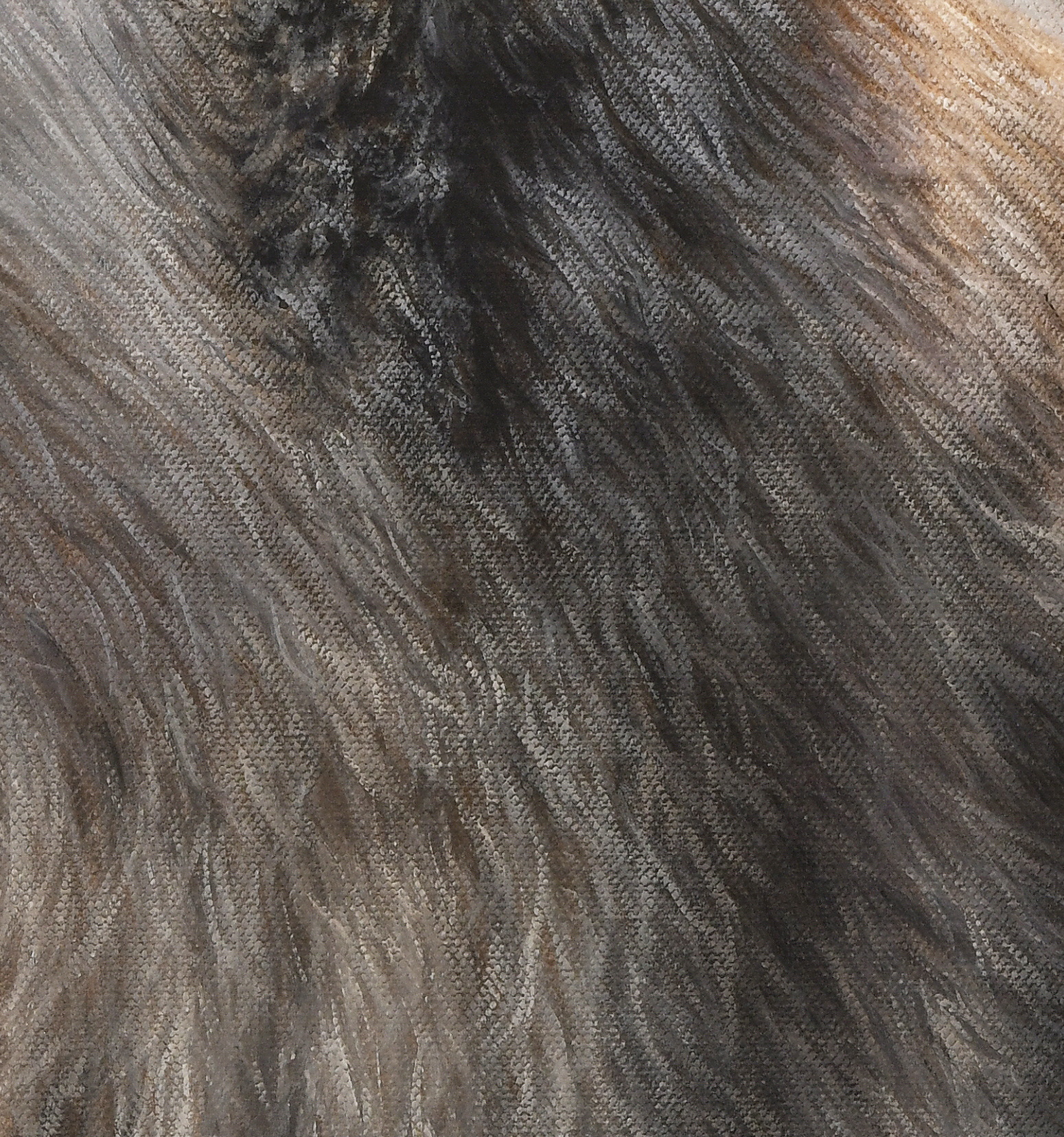 James Corwin Fine Art - Vente Affiche d'art - Grizzly et colibri - The Messenger II - Impression artistique4