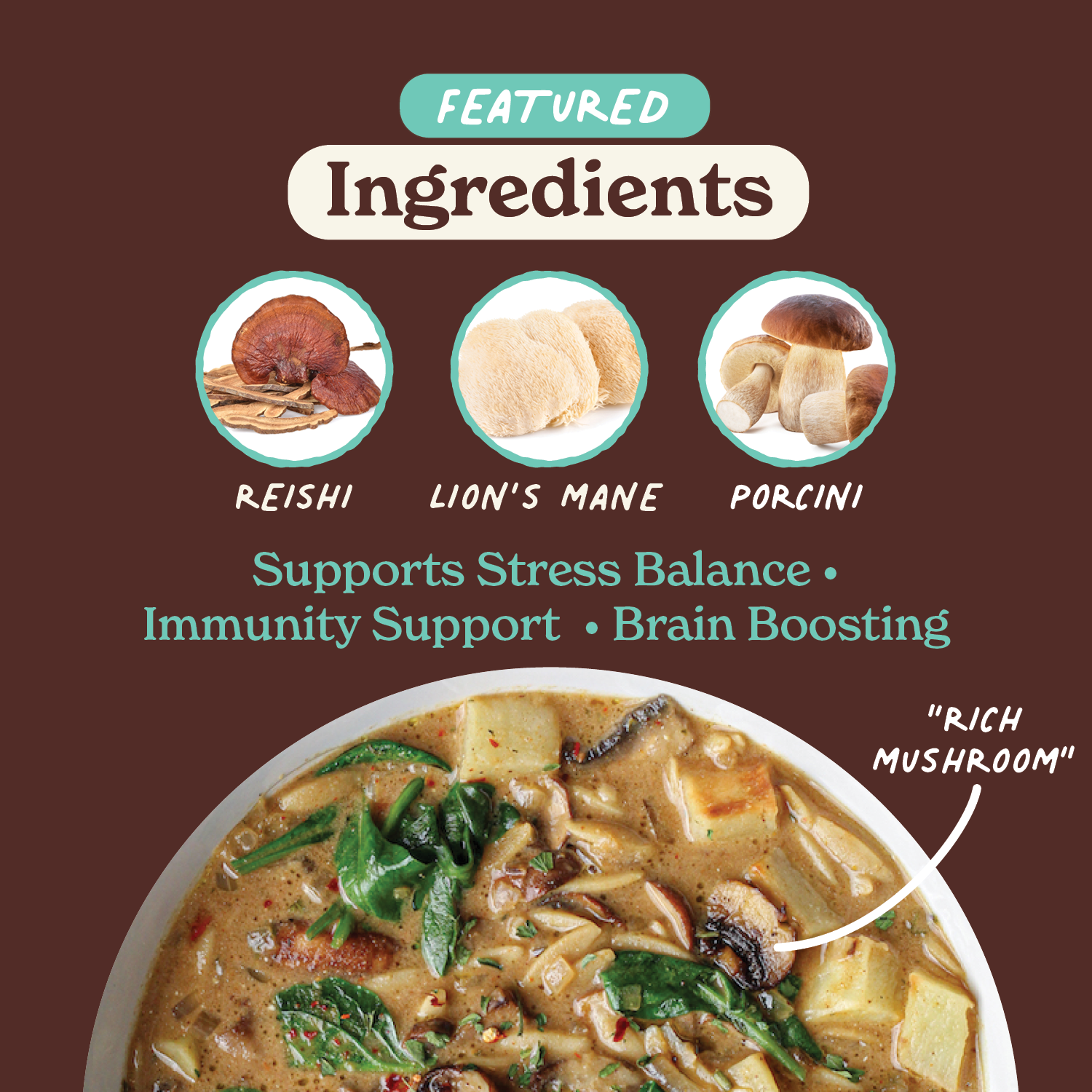 māla girl - Wholesale Soup - Superfood Instant Broth Powder w/ Reishi and Lions Mane3