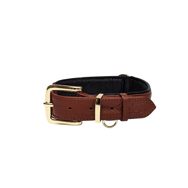 Le Dog Company - Wholesale Pet Collar - Dog - Padded Leather Collar4