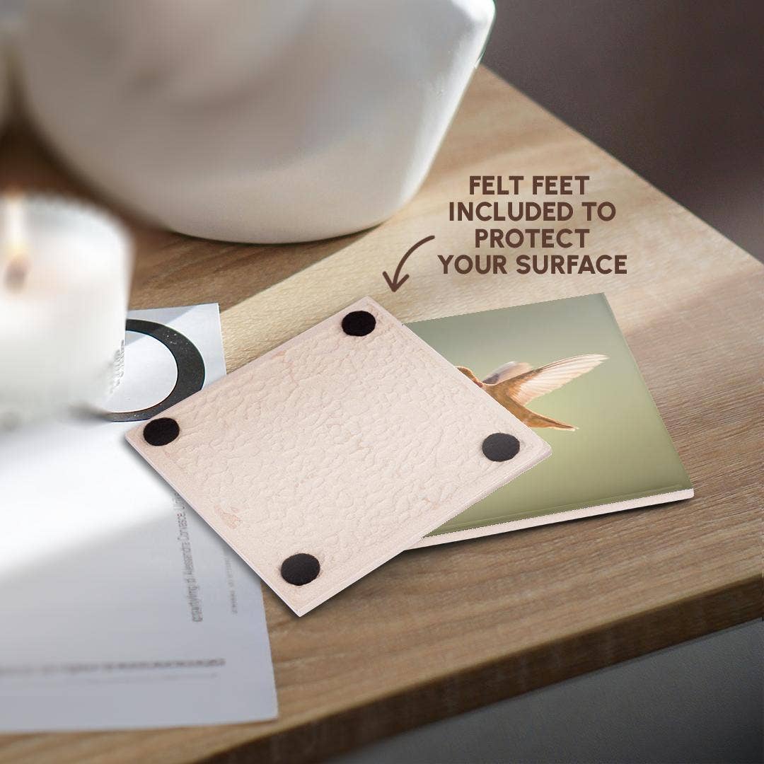 3dRose – wholesale Coasters – 3dRose, Rufous hummingbird, Selasphorus rufus. , Coaster3