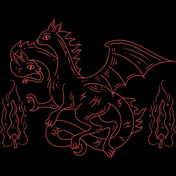 Fortune Favors - Wholesale Nuts - 8oz Fortune Favors The Spicy Candied Pecans8