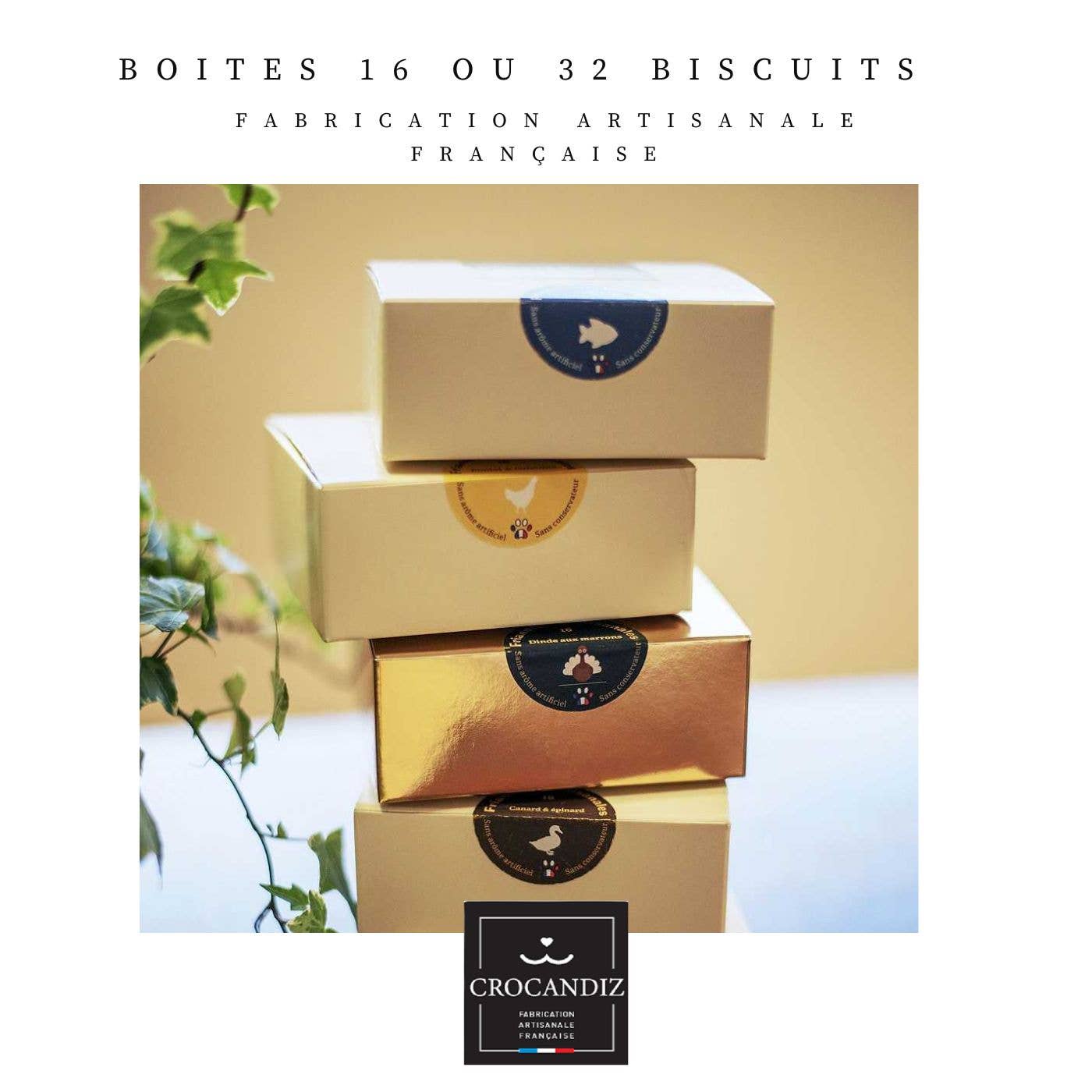 Crocandiz - Wholesale Pet Biscuit - Dog - Natural fish dog biscuits, treats 3