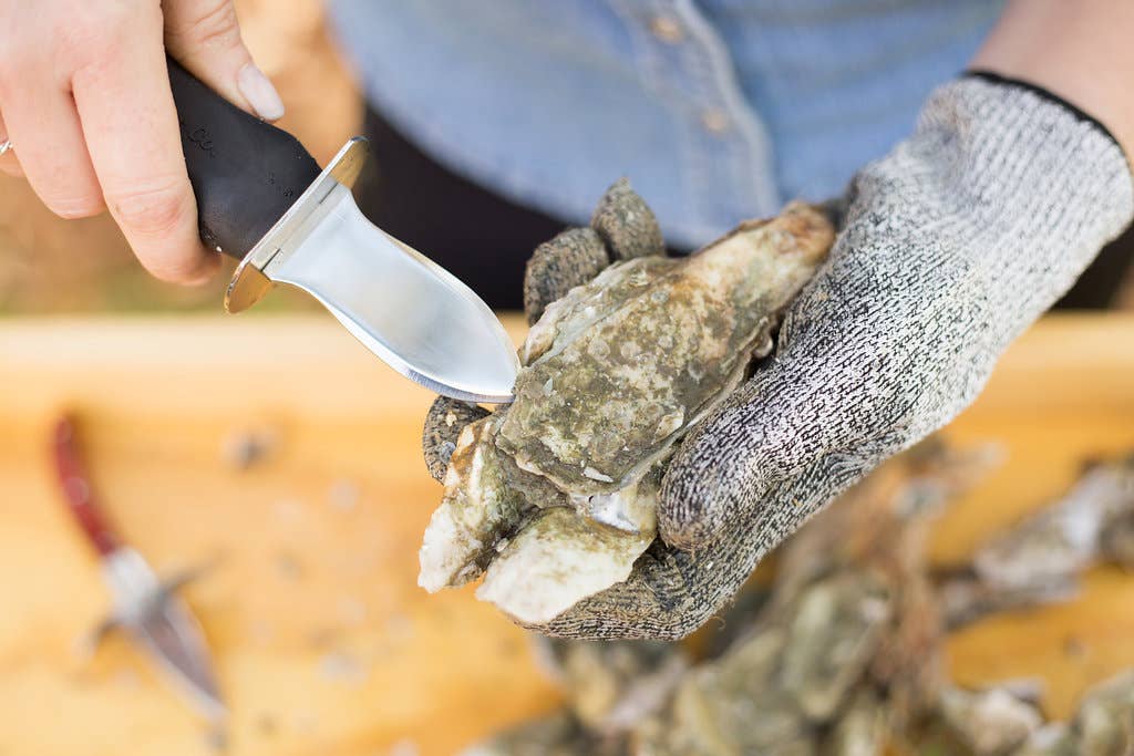 Charleston Shucker Company - Wholesale Kitchen/Utility Knife - SALE: The Charleston Shucker Knife4