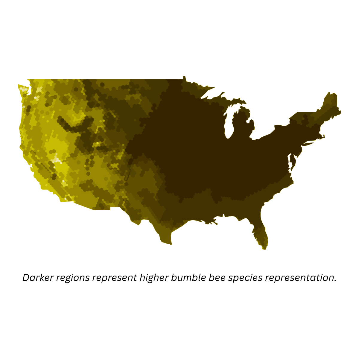 weneedtogooutside - Wholesale Nature & Outdoors Book - Bumble Bees of Eastern USA Field Guide Cards4