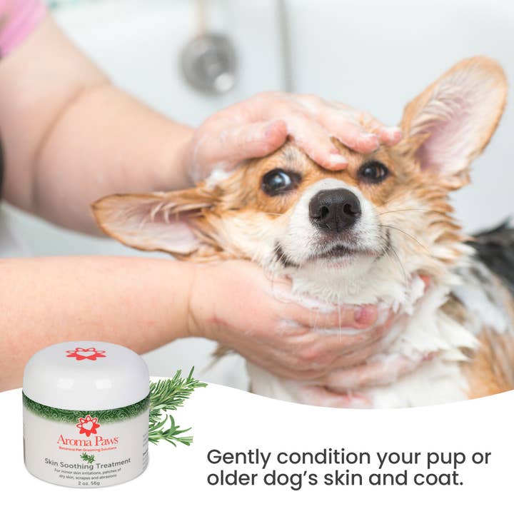 Aroma Paws - Wholesale Pet Grooming Aid - Dog - 2 Oz. Skin Soothing Treatment With Rosemary & Kokum Butter5