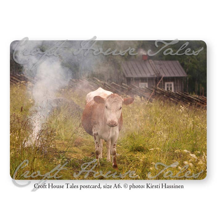 Consumers: Sort With Landscape And Animal-Themed Postcards for wholesale by Paperisilppuri