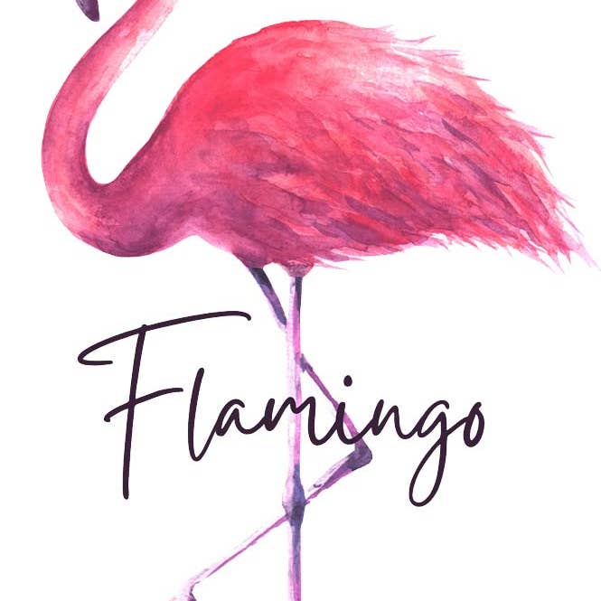 BELLA STORIA CREAZIONE – Großhandel Sublimationsrohling – Bügeltransfer Flamingo 1