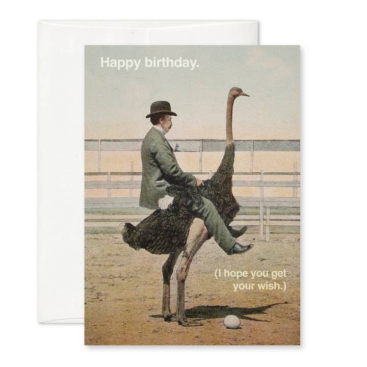 "Close your eyes and make a wish" (ostrich) A6 birthday card for wholesale by Pictrix Design