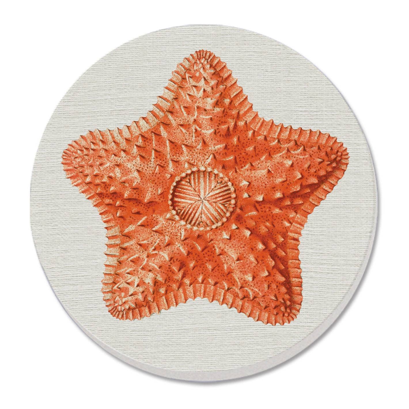 CounterArt/Highland Home/Thirstystone – Expositor de loja por atacado – Expositor Marítimo O Dia Pré-Embalado4