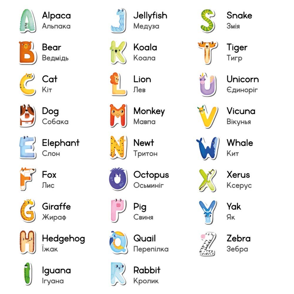 DoDo Brand - Wholesale Magnet - Kids & Baby - Magnetic Game For Kids - Magnetic Letters English5