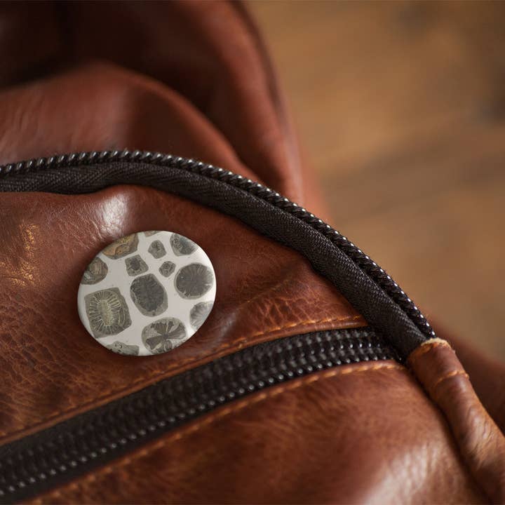 NatureCuts - Wholesale Reversspeld/knoop - Fossiele speldknop, fossiele sleutelhanger, fossiele magneet5