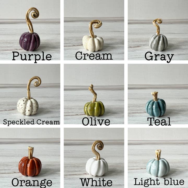 Mother Potter - Wholesale Decorative Tabletop Object - Mini ceramic pumpkins