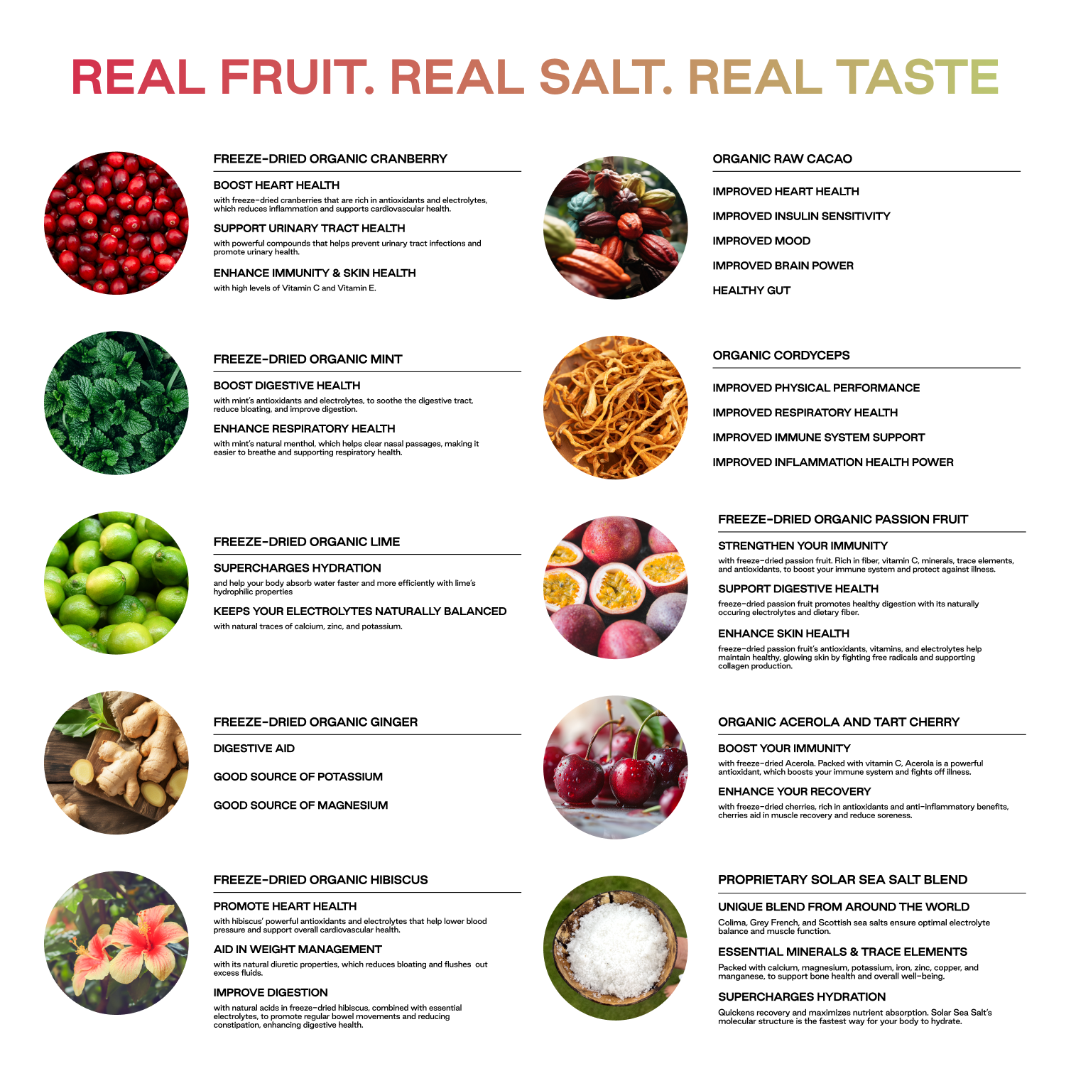 Purest Electrolyte - Wholesale Powdered Health Drink - Sampler Pack3