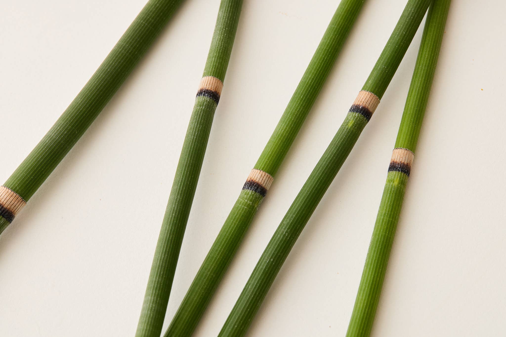 Under Luna - Vendita all'ingrosso Balsamo per capelli - WHS - BALSAMO REVIVE, 9,5 OZ.3