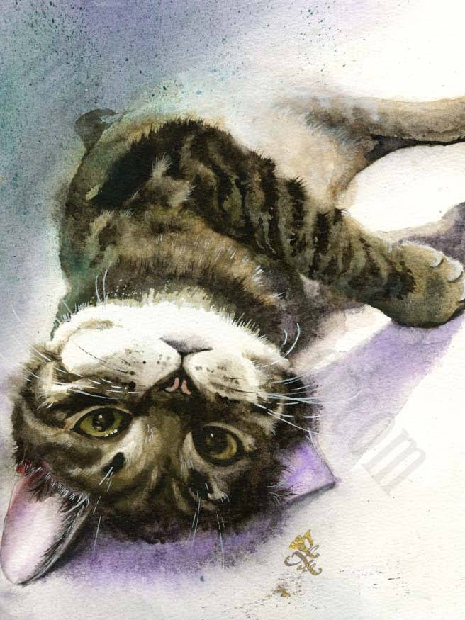 Tabby Cat - Pet Collection Print for wholesale by Dream In Watercolor