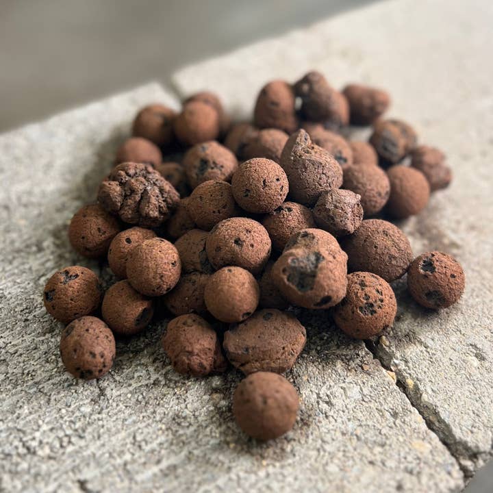 LeafLabs Leca Lg/Xl for wholesale by GreenLens