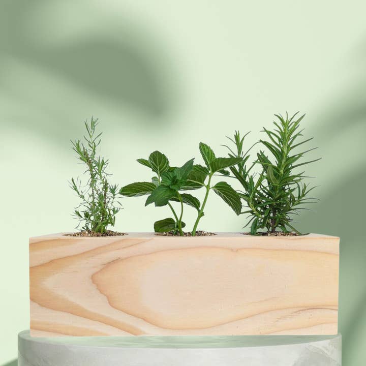 Sprigbox - Wholesale DIY Craft Kit - Cocktail Mixers Starter Kit | Grow Lavender, Mint, Rosemary1